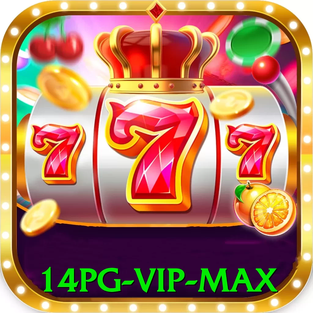 14pg - VIP Max - pro